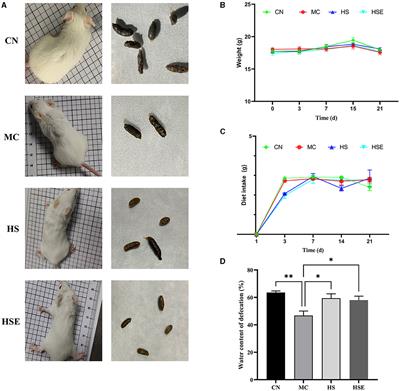 Hemp seeds attenuate loperamide-induced constipation in mice
